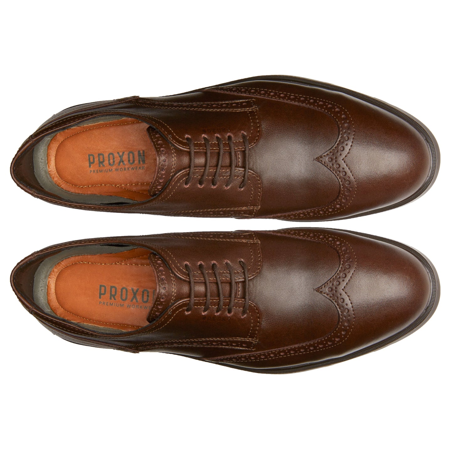 
                  
                    STEEL TOE OXFORD SHOE CAPTAIN BROWN - Oxford Steels
                  
                