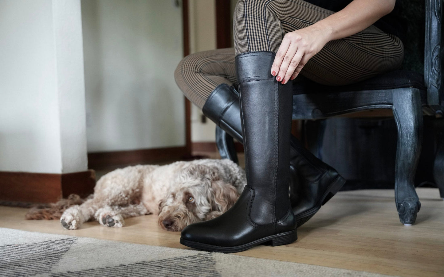 
                  
                    Nova EH Safety Boot - Oxford Steels
                  
                