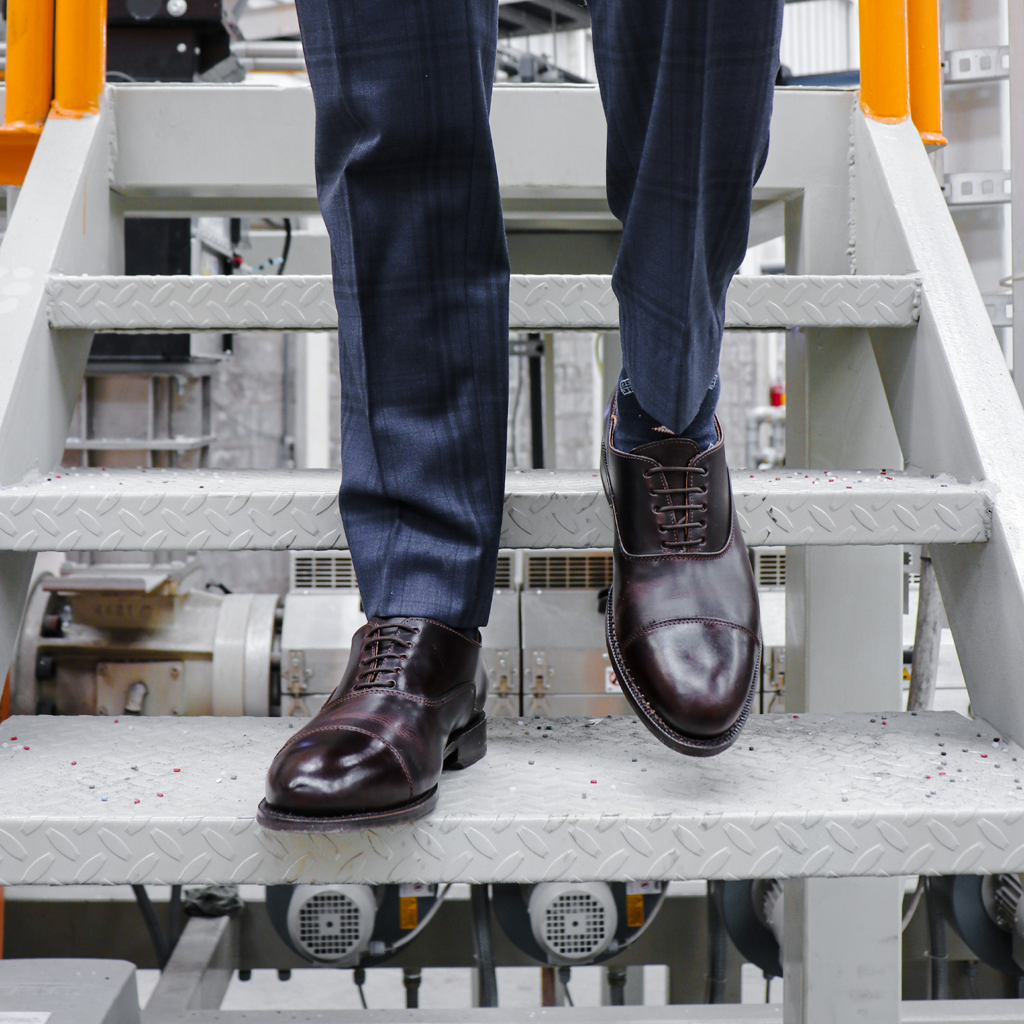 
                  
                    STEEL TOE EXECUTIVE SHOE CEO BROWN - Oxford Steels
                  
                