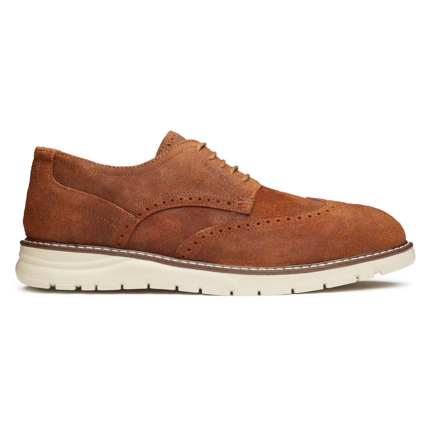 STEEL TOE  DERBY SHOE MASTER GINGER - Oxford Steels